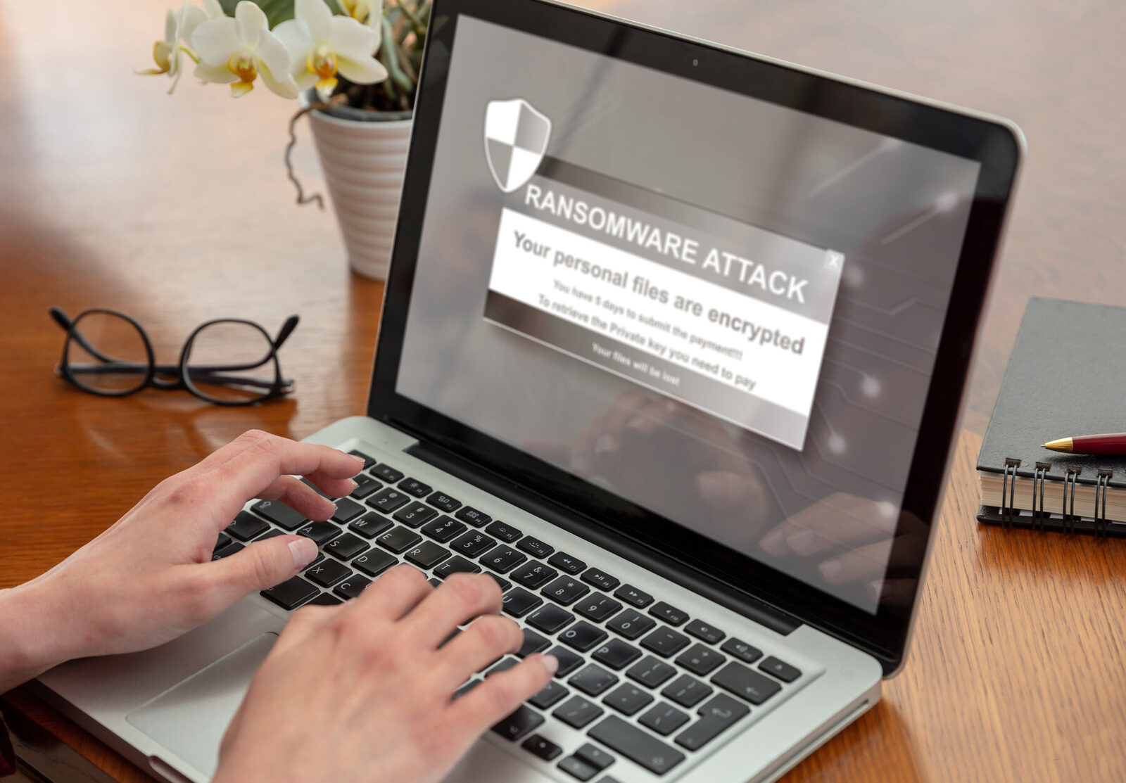 Health Information Privacy and Security